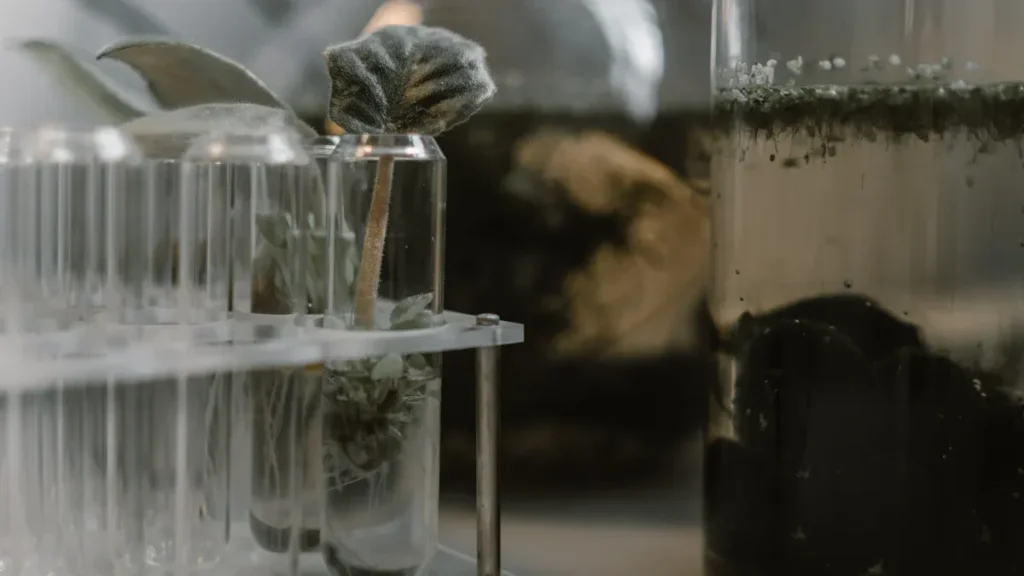 활성탄이란 무엇이며 어떻게 작동하나요?