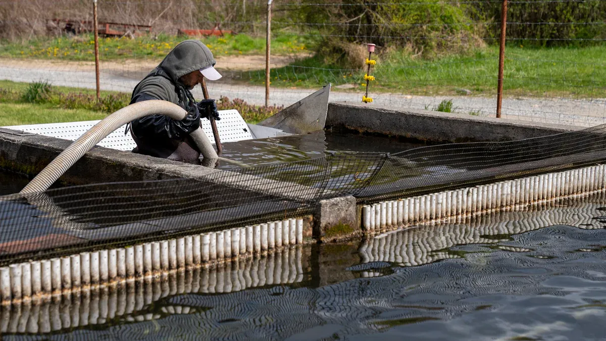 Aquaculture Activated Carbon Uses