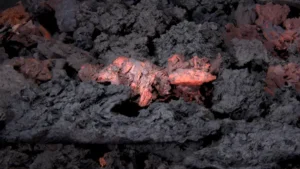 What Is Citric Acid Impregnated Activated Carbon?