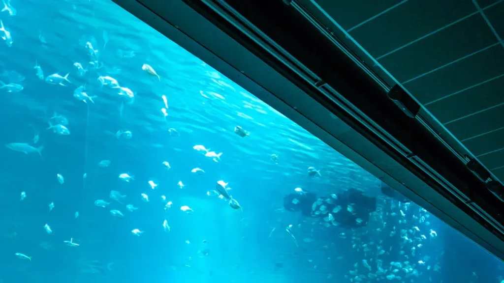 Understanding the Benefits of Activated Carbon in Aquaculture