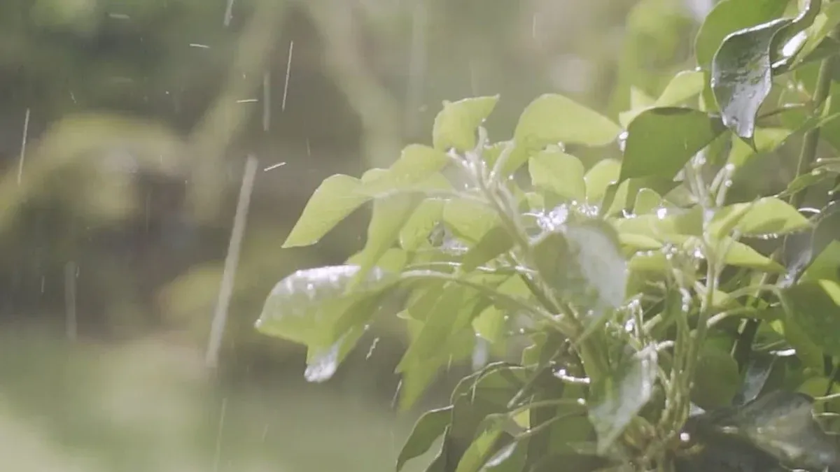 Factors Affecting Desiccant Performance