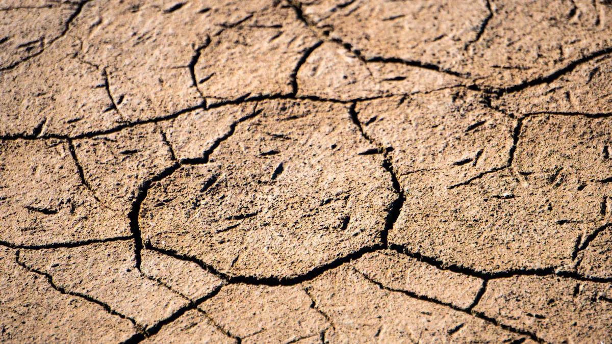 Why Moisture Matters in Food Storage