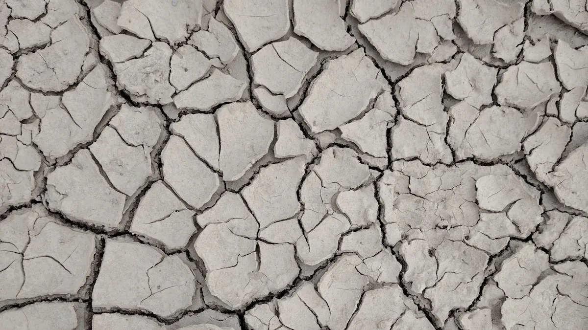 Moisture Adsorption Details